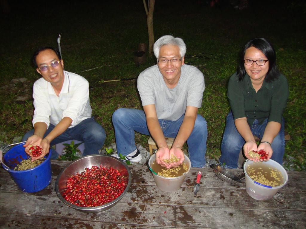 Taroko Sialin Coffee Farm Homestay Xiulin Экстерьер фото